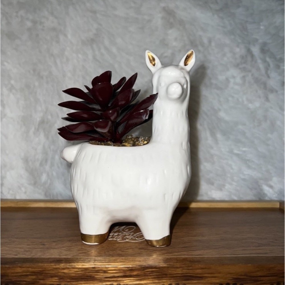 Faux succulent planter - Alpaca / Llama